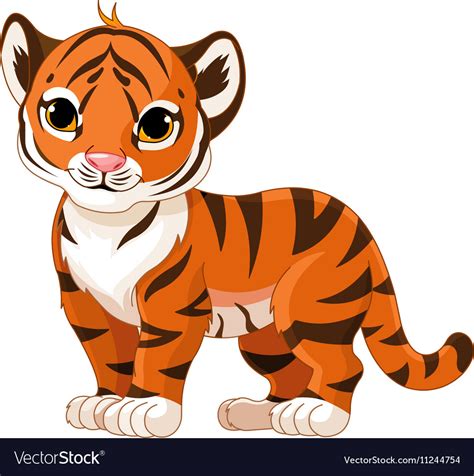 Baby tiger Royalty Free Vector Image - VectorStock