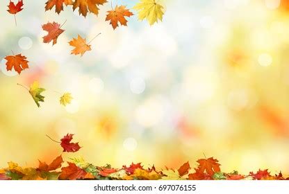 2831 Free CC0 Fall wallpaper Stock Photos - StockSnap.io