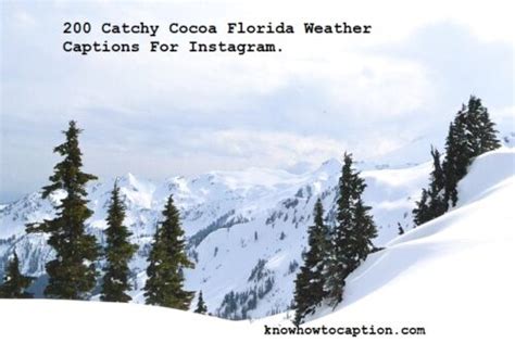 200 Catchy Cocoa Florida Weather Captions For Instagram - Knowhowtocaption