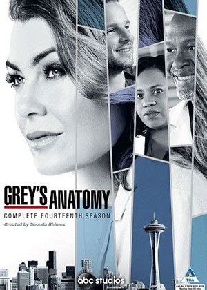 Grey's Anatomy Season 14 - vip.tv-video