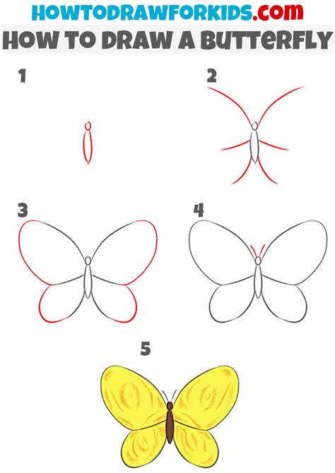 How to Draw a Butterfly Easy for Kids