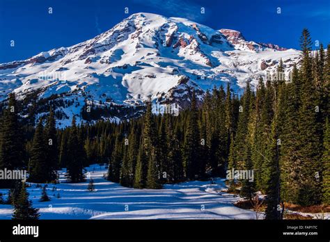 Mount Rainier during winter in the Paradise area of Mount Rainier National Park Stock Photo - Alamy