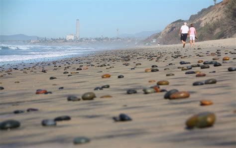 South Carlsbad State Beach in Carlsbad, CA - California Beaches