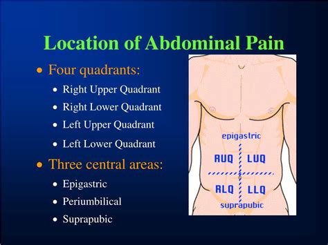 View Left Upper Quadrant Back Pain Causes US - Dolores C. Newton