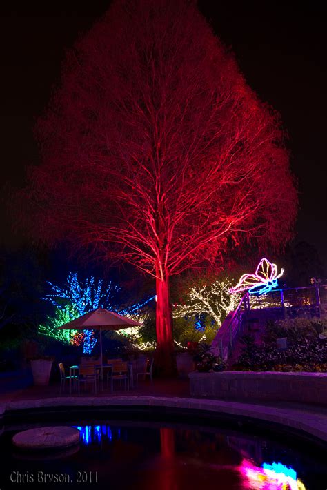 Riverbum's Random Ramblings: Atlanta Botanical Garden Lights