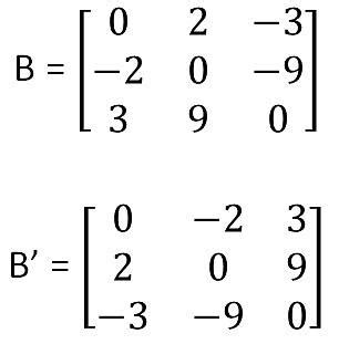 Symmetric & Skew Symmetric matrices - Definition with Examples