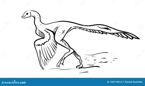 Dibujo De Archaeopteryx, Ilustración, Vector Ilustración del Vector ...