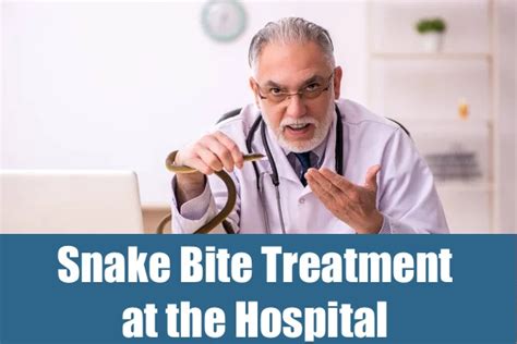 Snake Bite Treatment - What to Expect at the Hospital - WaterSnake.Net