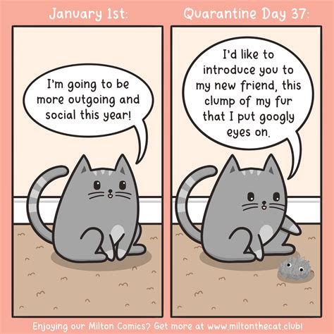 Milton the Cat Daily Comic – Meowingtons