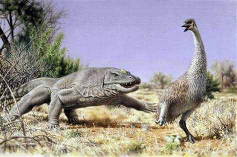 Mysterious ancient giant eggs Down Under laid by Aussie “demon ducks of doom” | Ars Technica