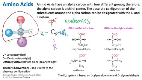 Stereochemistry of Amino Acids | Biochemistry - YouTube