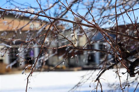 Photo Gallery: KWU's Campus After Snow - Jan. 23, 2023 - Kansas ...