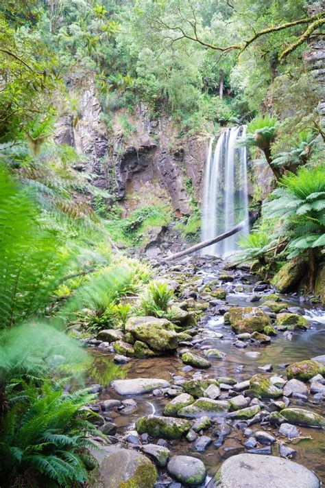 Waterfall in the Great Otway National Park in Victoria, Australia Stock Image - Image of park ...