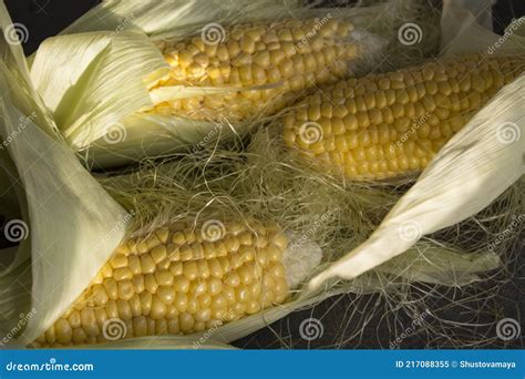 Fresh corn close up photo stock image. Image of food - 217088355