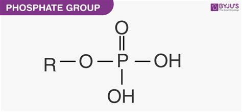 Nucleic Acid and Genetic Code - Structure and the Functions