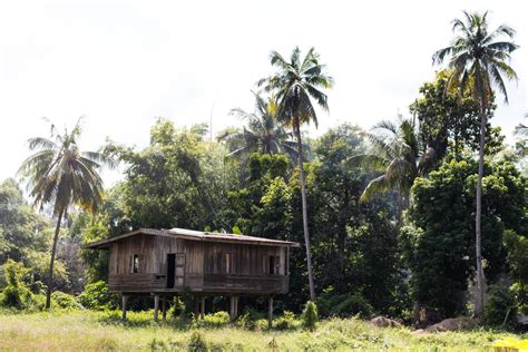 Old wooden house near Forest Park. 7427364 Stock Photo at Vecteezy