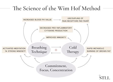 The STLL | Wim Hof Method Explained.