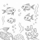 Premium Vector  Design fish aquarium coloring Page For Kid sketch template