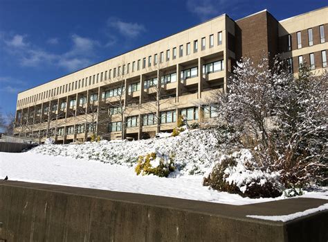 Photo Slideshow: Springtime Snow on Campus | | SBU News - Part 7