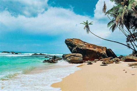 10 Tourist Scams in Sri Lanka and How to Avoid Them