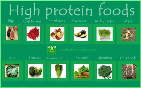 High protein foods High Protein Recipes, Protein Foods, Spirulina, Maca ...