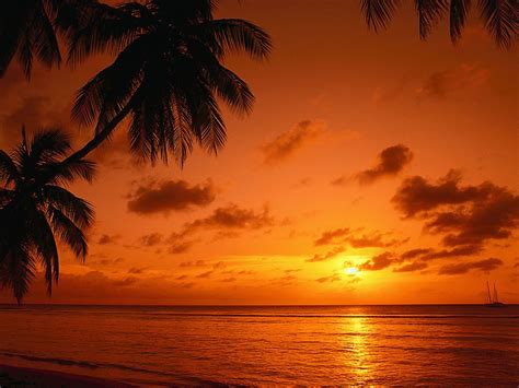 Tobago Sunset! | Sunset pictures, Trinidad, Sunset