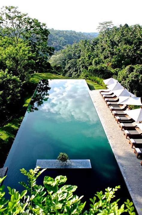 Honeymoon - Infinity Pool At Alila Ubud Hotel, Bali #2051569 - Weddbook