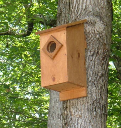 DIY plans for building a screech owl nesting box. This article includes diagrams, photos and ...