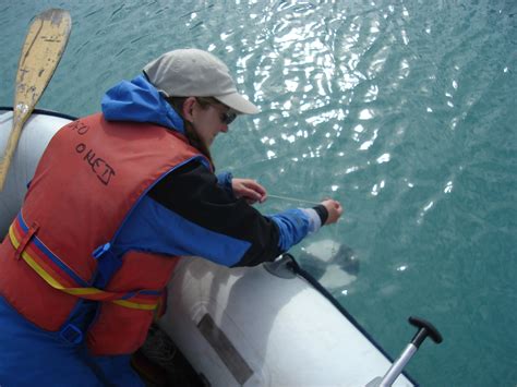 Measuring Lake Turbidity Using A Secchi Disk