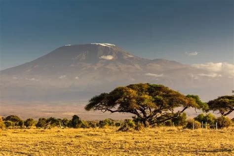 Climate change: Mount Kilimanjaro glaciers expected to vanish by 2040 ...