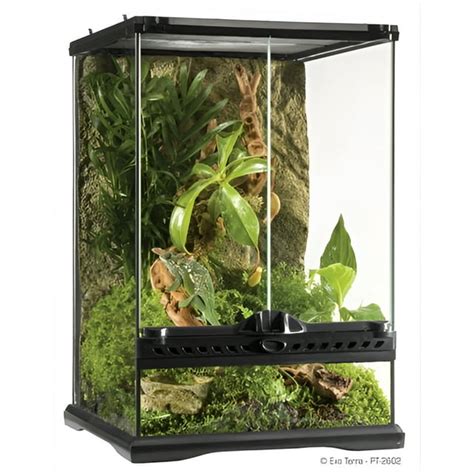 Exo Terra Reptile Supplies Glass Terrarium 12x12x18 with Front Opening ...