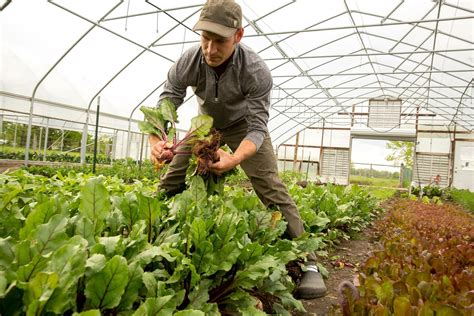 All about Clay Bottom Farm - the farmers, the farm, and the vegetables