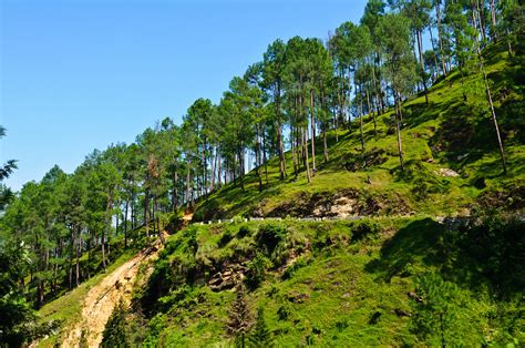 Elevation of Bageshwar, Uttarakhand, India - Topographic Map - Altitude Map