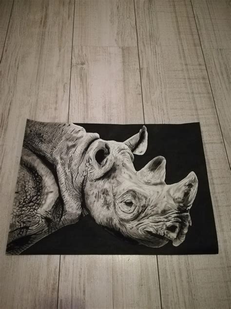 hyper realistic Rhino drawing by drartcoholic on DeviantArt