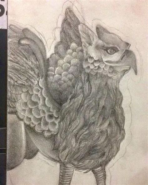 Griffin Drawing | Drawings, Griffin drawing, Sketches