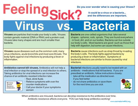 Baby Steps in Knowing your Medicines and Supplements!: Myths of Antibiotics