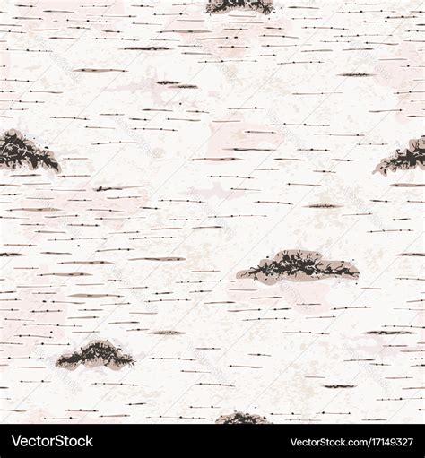 Birch bark texture Royalty Free Vector Image - VectorStock