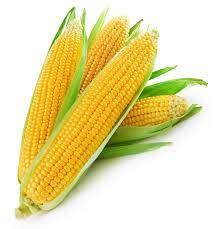 Corn Blank Template - Imgflip