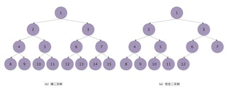 Árboles y árboles binarios, y operaciones básicas. - programador clic