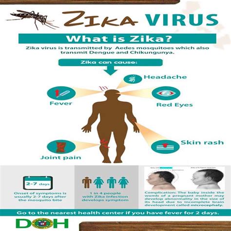 zika virus symptoms | Zika virus damages babies' brains afte… | Flickr