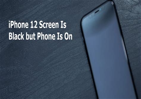 iPhone 12 Screen Is Black but Phone Is On: How to Fix - EaseUS