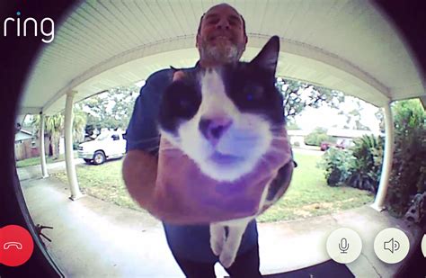 Ring doorbell notification-> There is a very boopable nose at your front door : r/boopablenosies