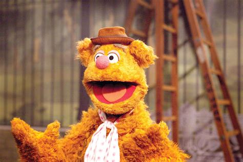 [100+] Fozzie Bear Wallpapers | Wallpapers.com