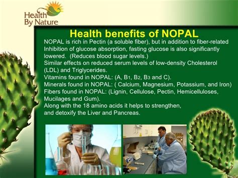 Dr.Nopal