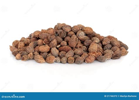 Blace Ginger Seeds stock photo. Image of herbal, background - 21746372