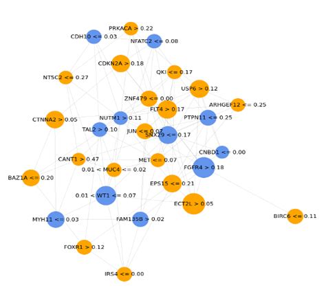 Visualization of the Top 30 important genes and their relations by LIME... | Download Scientific ...