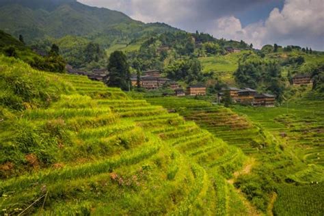 Hiking the Rice Terraces in Guilin