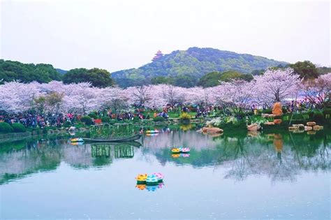 50张图片告诉你，中国的春天有多惊艳！|太湖|樱花|油菜花_新浪新闻