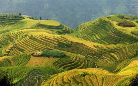 10 Beautiful Longji Rice Terraces In China Images - Fontica