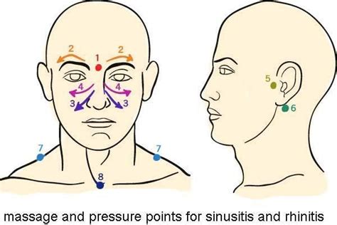 sinus pressure points? | Sinus infection, Sinus massage, Massage ...